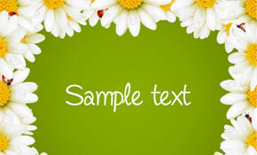 Floral Border Vector